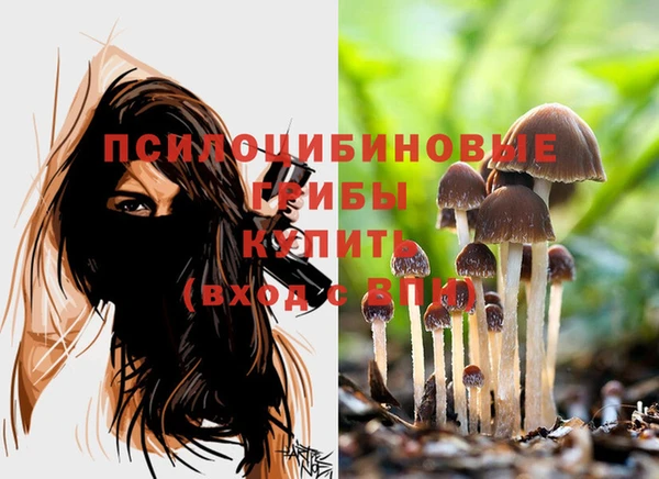 твердый Армянск