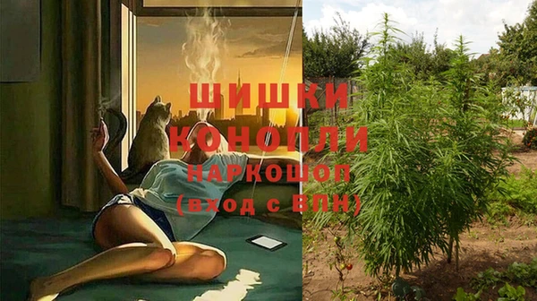 твердый Армянск