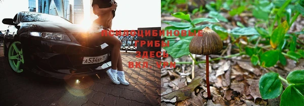 ешки Балабаново